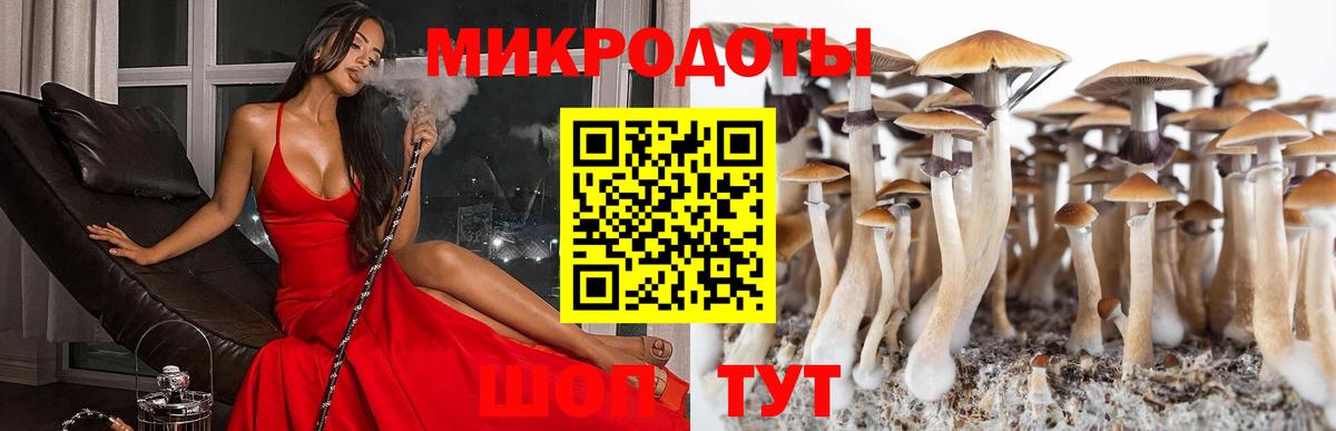 Галлюциногенные грибы Psilocybine cubensis Нарткала