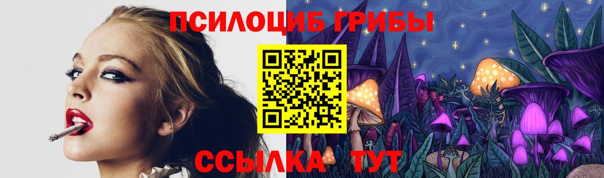 Псилоцибиновые грибы Psilocybe  Вход с VPN  Нарткала  Псилоцибиновые грибы мицелий 